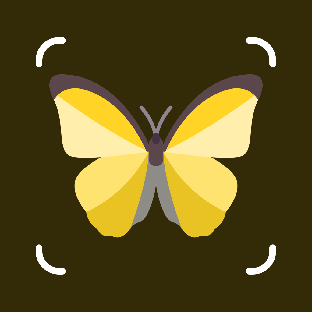 insects Logo